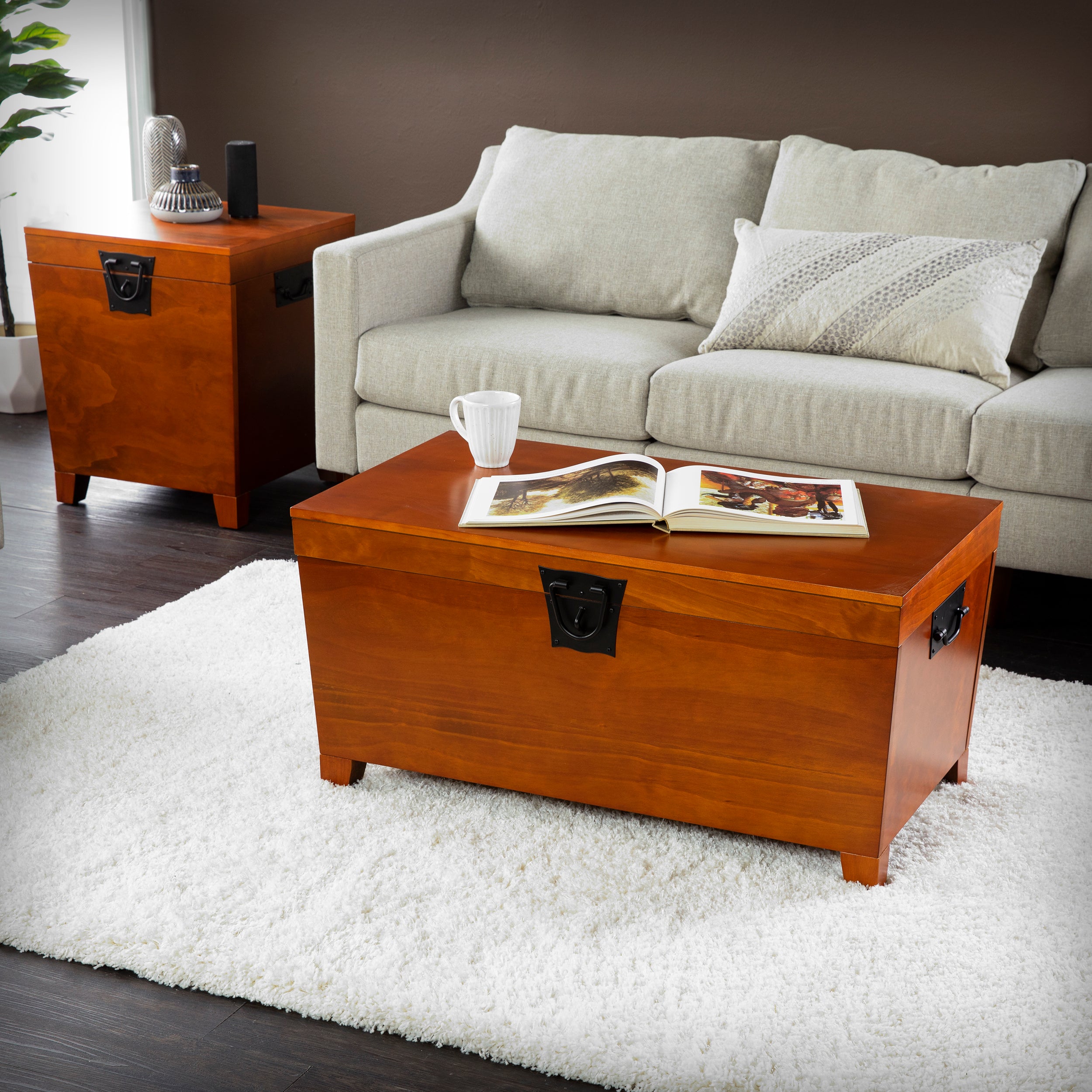 Pyramid Lift-Top Trunk Coffee Table – SEI Furniture